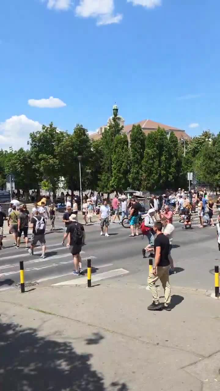 Zemun: Citizens constantly cross the pedestrian crossing