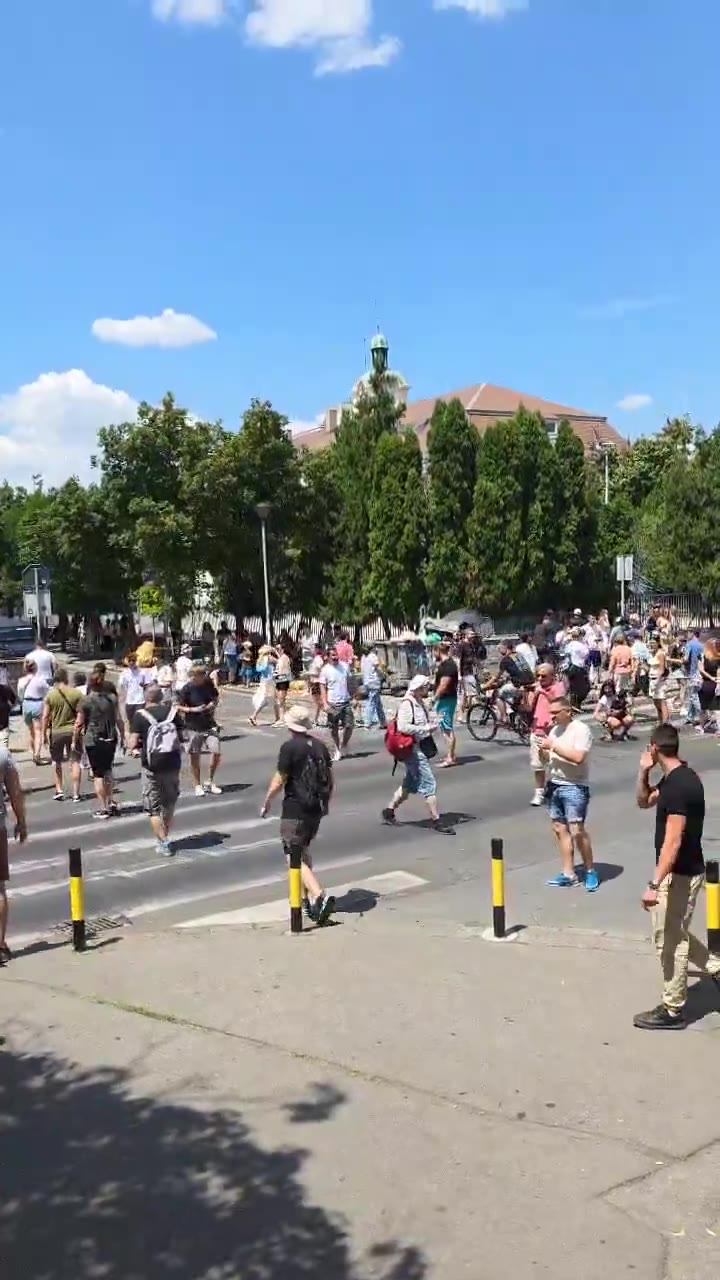 Zemun: Citizens constantly cross the pedestrian crossing