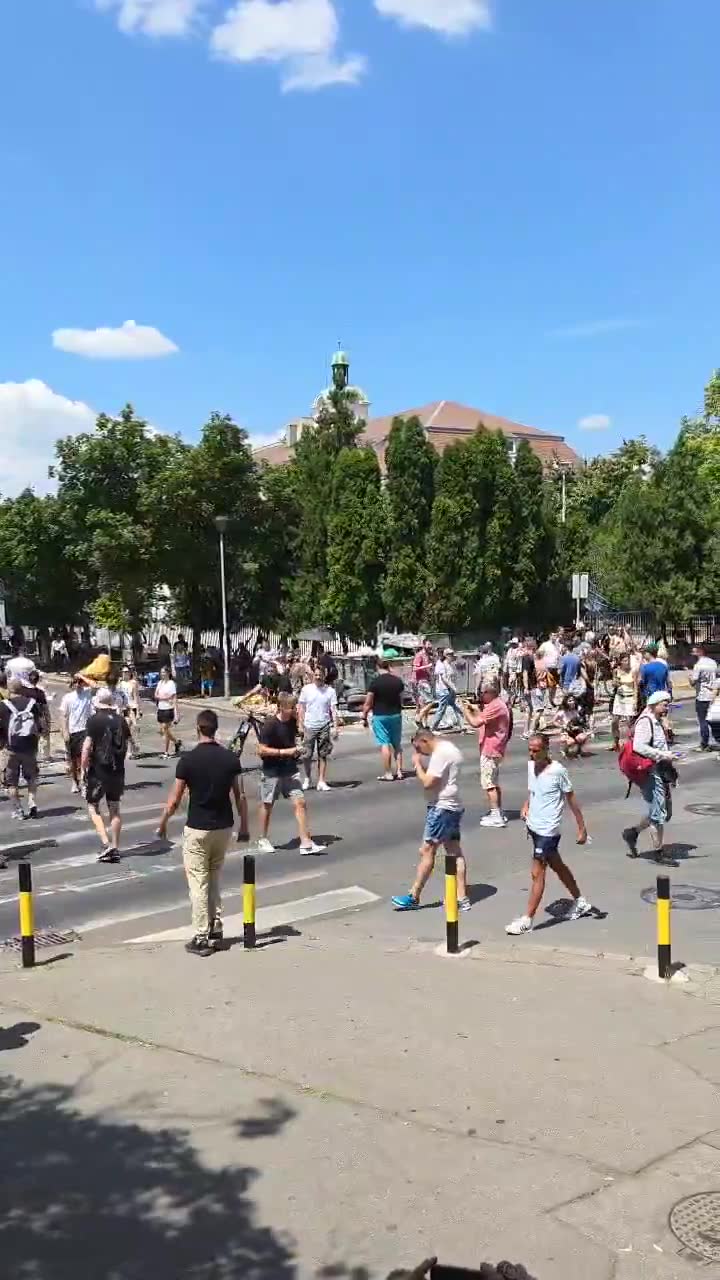 Zemun: Citizens constantly cross the pedestrian crossing