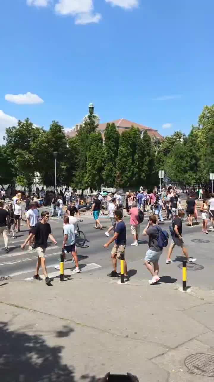 Zemun: Citizens constantly cross the pedestrian crossing