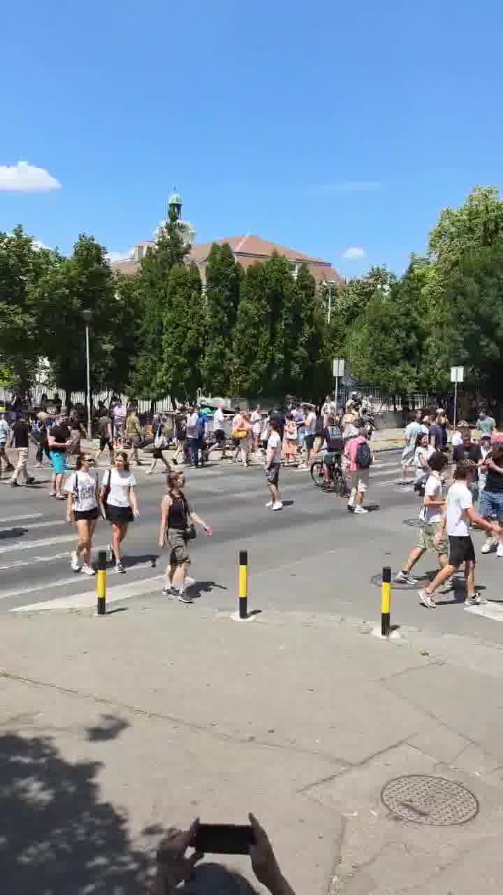 Zemun: Citizens constantly cross the pedestrian crossing