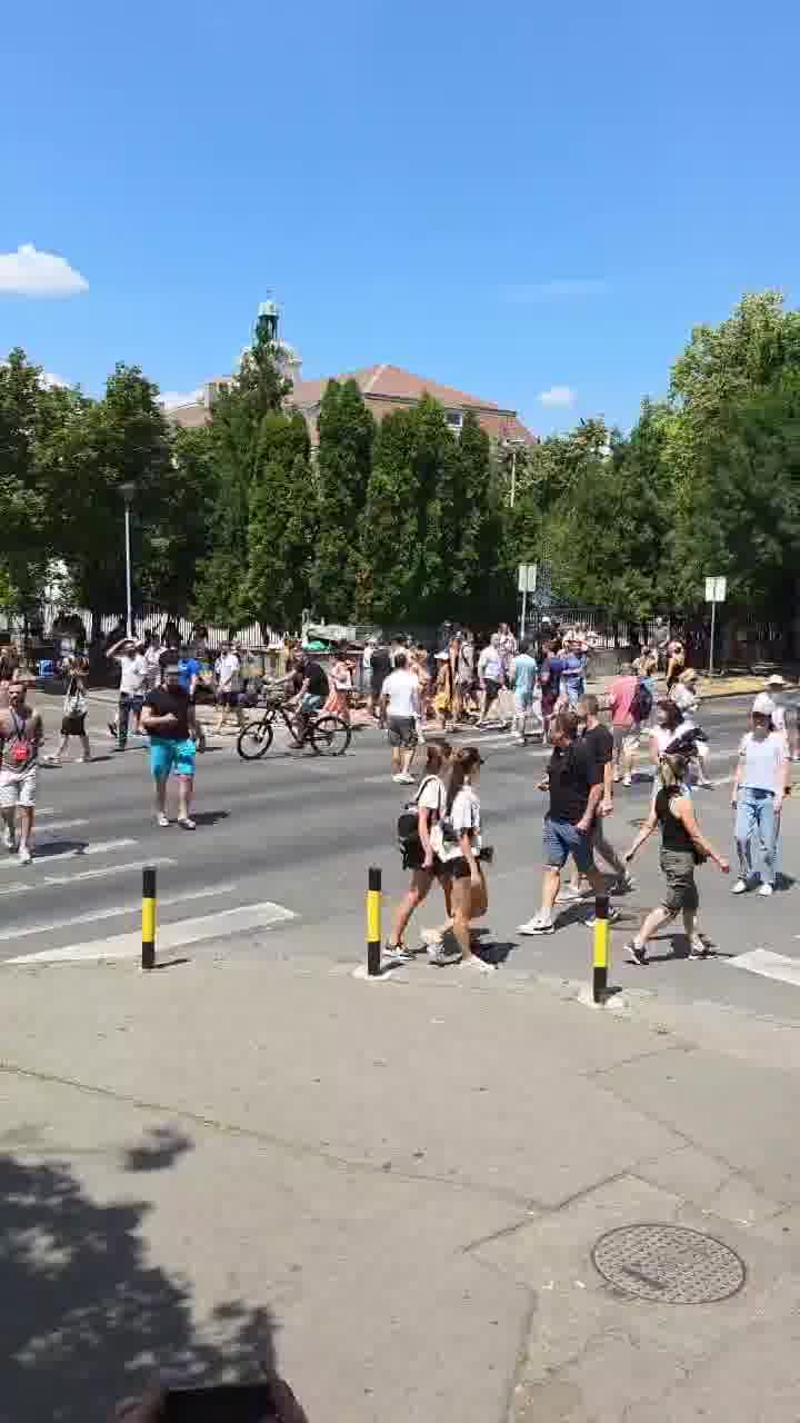 Zemun: Citizens constantly cross the pedestrian crossing
