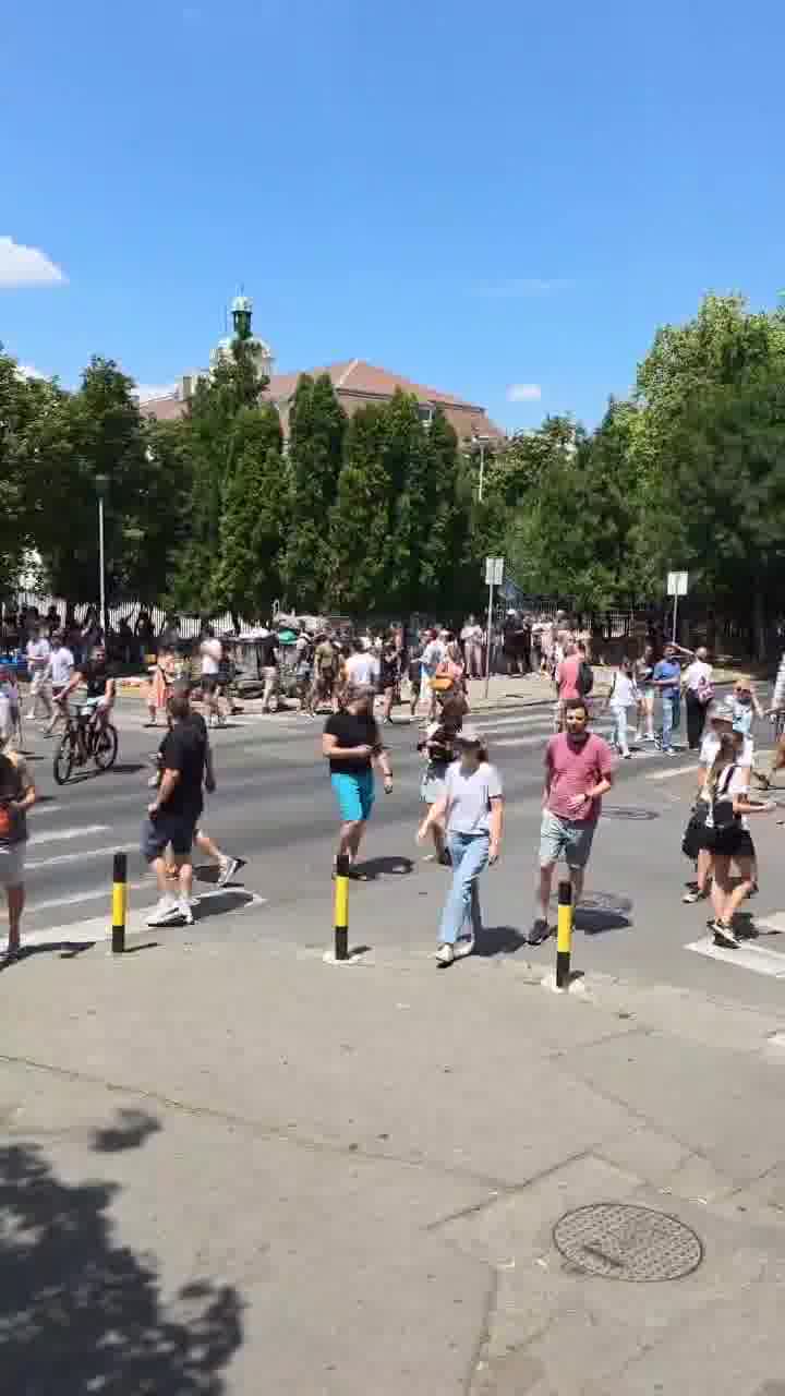 Zemun: Citizens constantly cross the pedestrian crossing