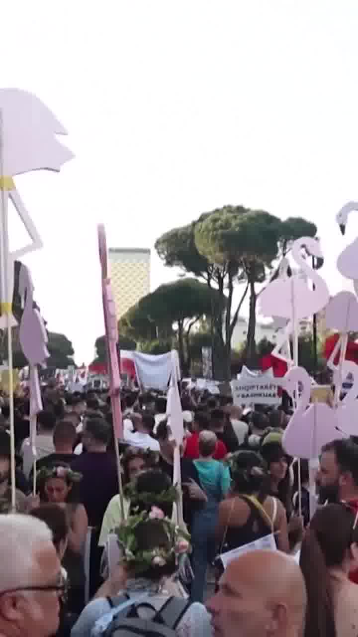 Protesters in Albania are demanding answers about a potential resort being built by a company linked to Jared Kushner.