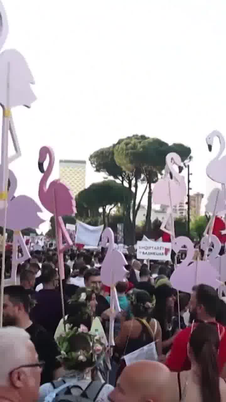 Protesters in Albania are demanding answers about a potential resort being built by a company linked to Jared Kushner.